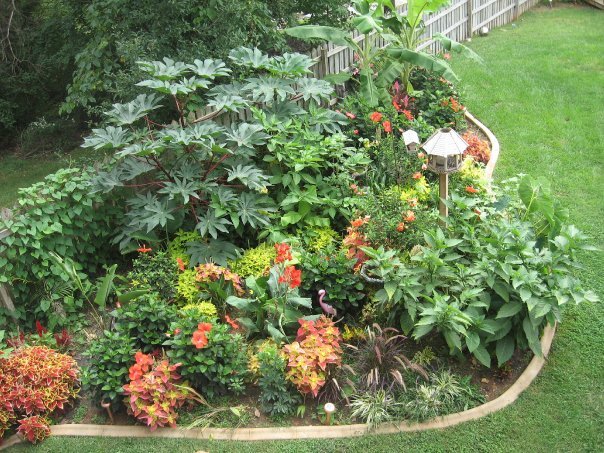 Sharon Moore's album, Missing My Garden