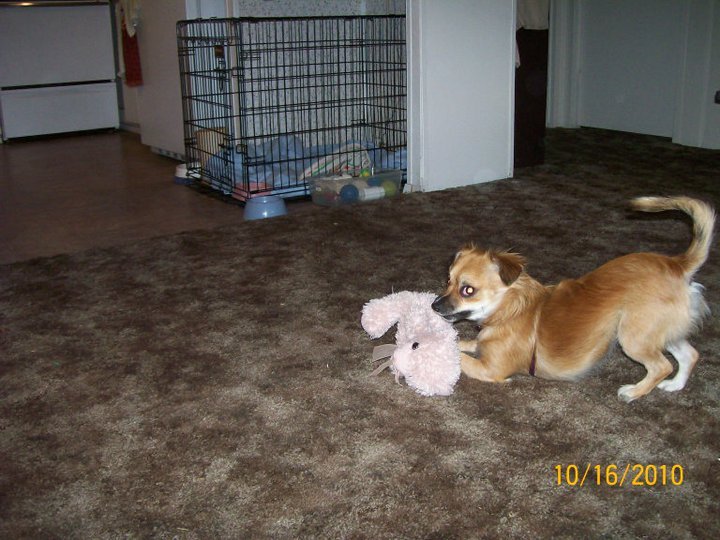 Ronalee Anderson's album, February 10, 2011