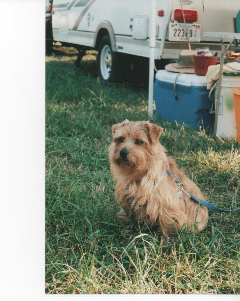 Randy Trentham's album, Untitled Album