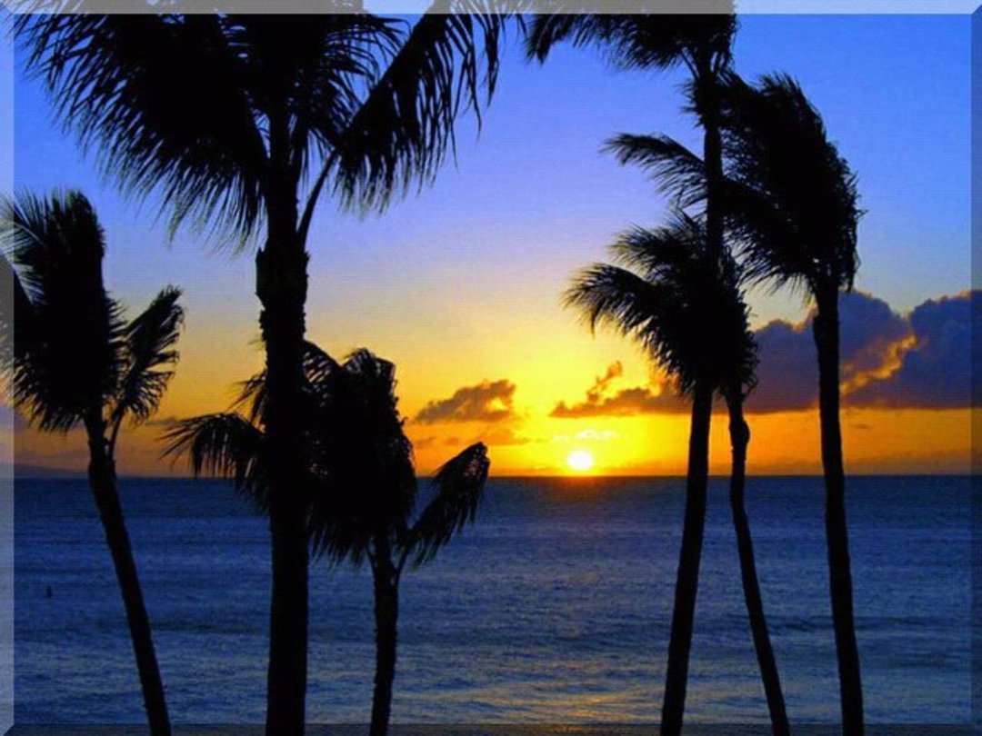 Darrell Parrish's album, Cover Photos
