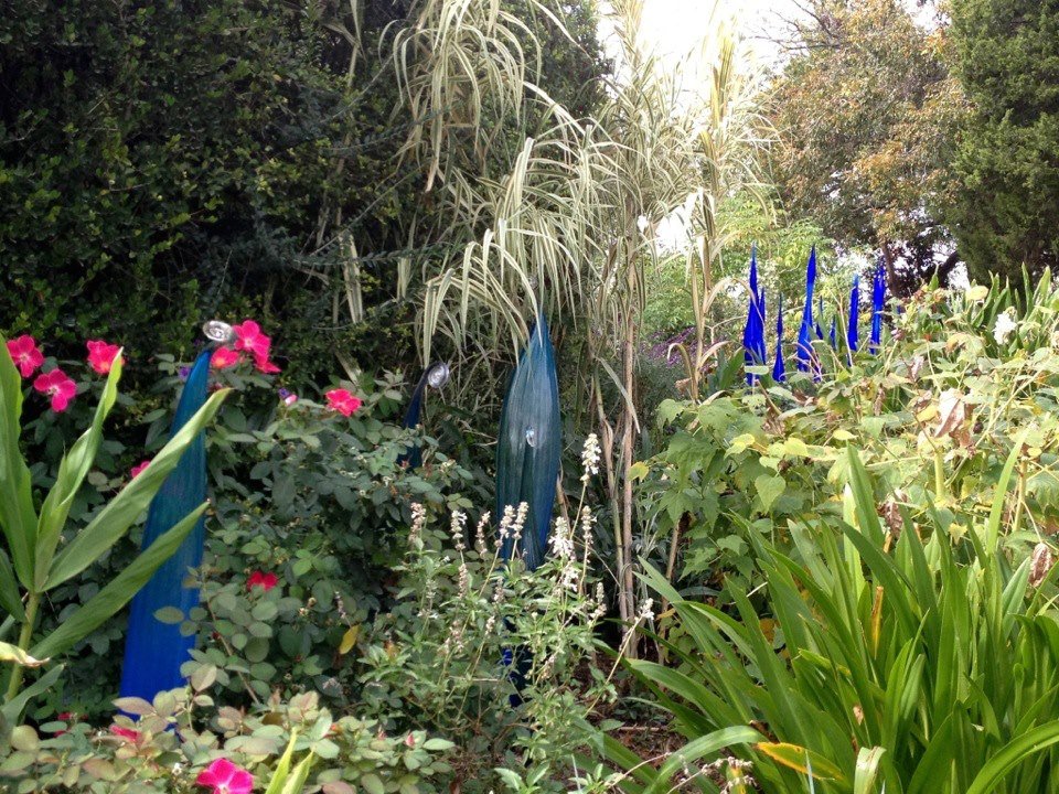 David Howerton's album, Chihuly Glass at Dallas Arboretum