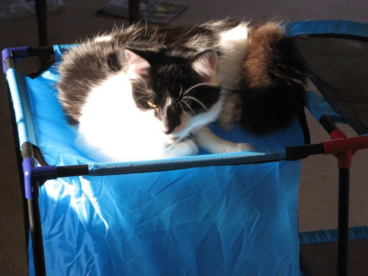 William Yost's album, fluff