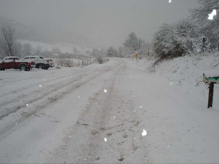 Nancy Harner's album, January 26, 2011