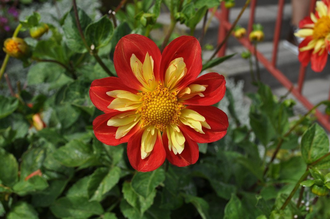 Donna Rutherford's album, San Francisco 2010