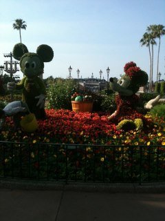 William Acker's album, Spring Break, Florida 2012