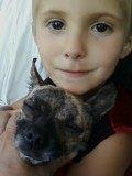 jennifer applegate's album, Mobile Uploads