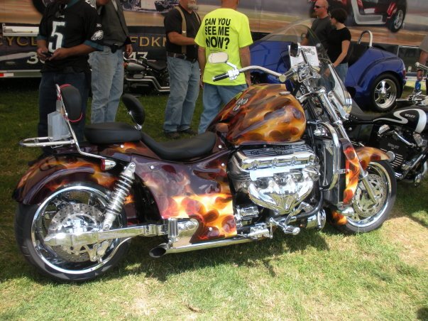 Wayne Hartmann's album, More photos of my favorites