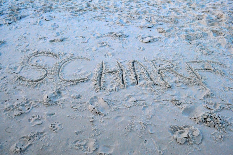 David Scharf's album, Beach Vacation 2012