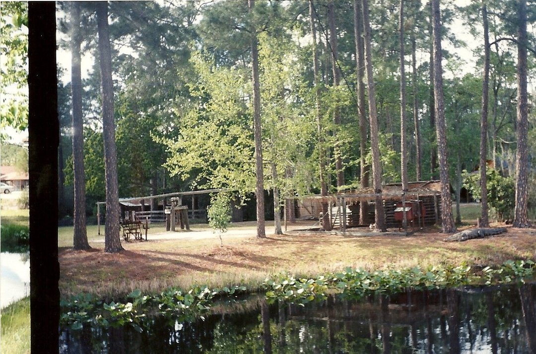 Karla Denney's album, Okefenokee Swamp 2000