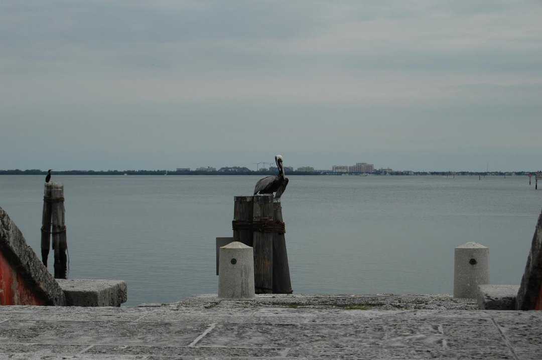 Michael Kearney's album, Photos of Sunny Isles Beach and South Beach Miami, Florida.