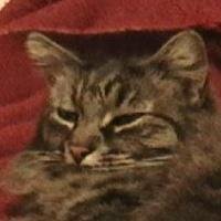 Dee-dee Hughes' album, Profile Pictures