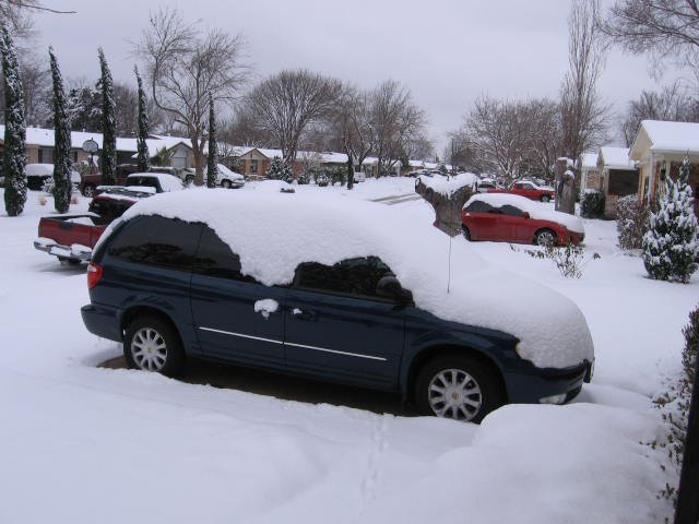Nancy Yancy's album, February 4, 2011