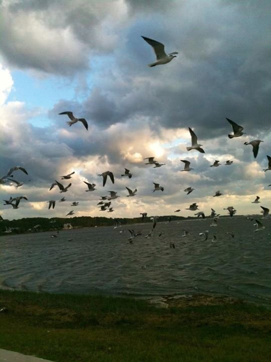 Norma Jones' album, Cover Photos