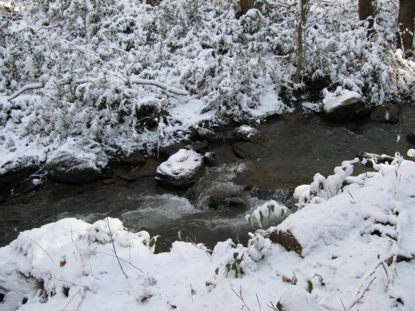 Tom Hellgeth's album, Snow time at Rogers Creek