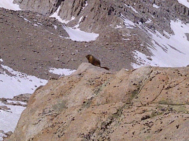 Daniel Burks' album, Mount Whitney