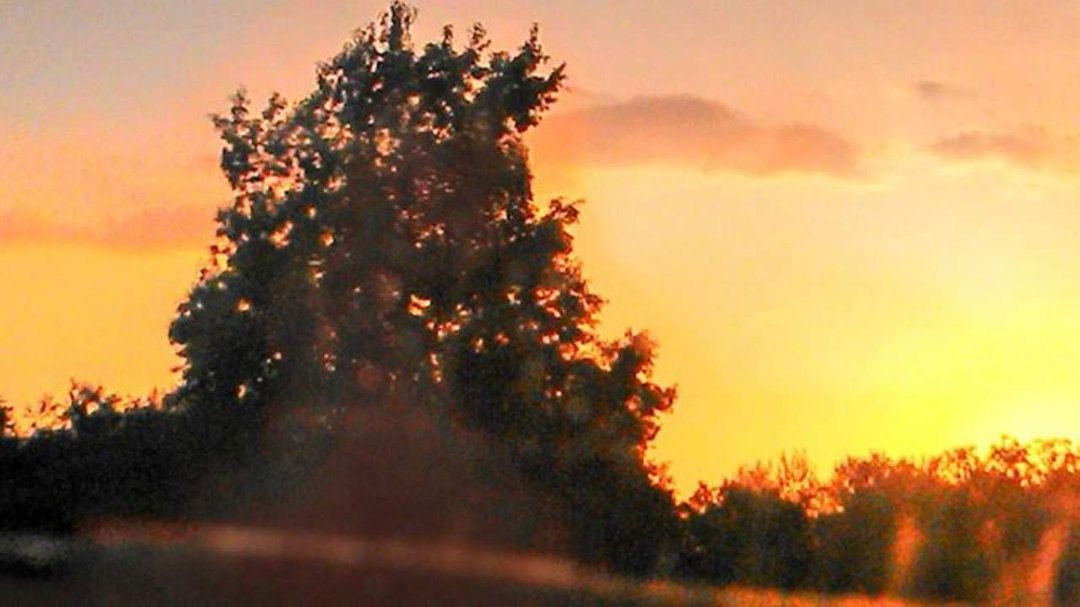 Brandy Botts' album, Mobile Uploads