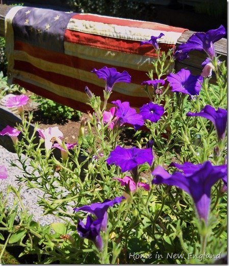 Sandi Hedrick's album, Cover Photos
