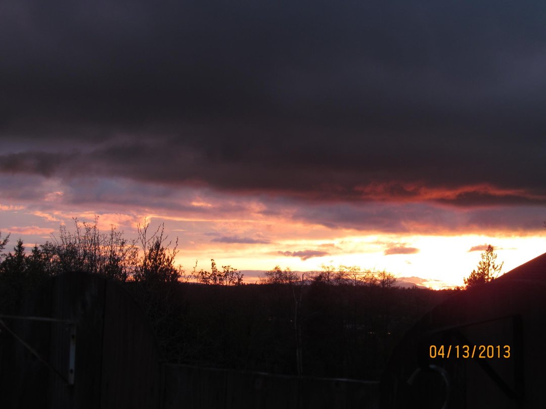 Patrick Hoyle's album, Timeline Photos