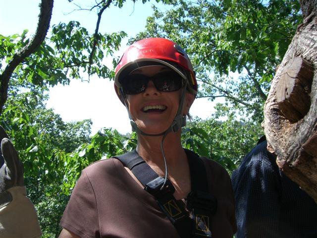 Ann Hammonds' album, Profile Pictures