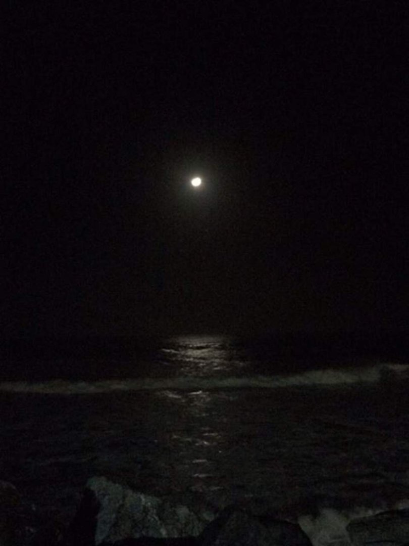 David Hoag's album, Mobile Uploads