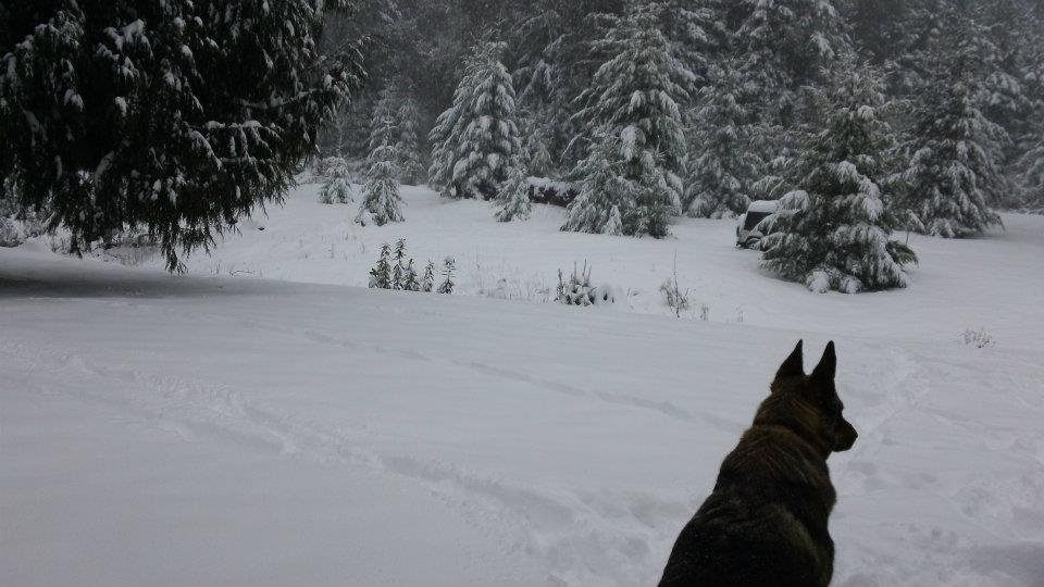 Sharon Worthington's album, Winter of 2012