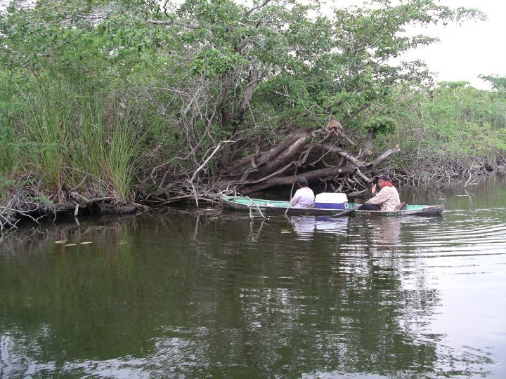 Dear Susan's album, Belize 2010
