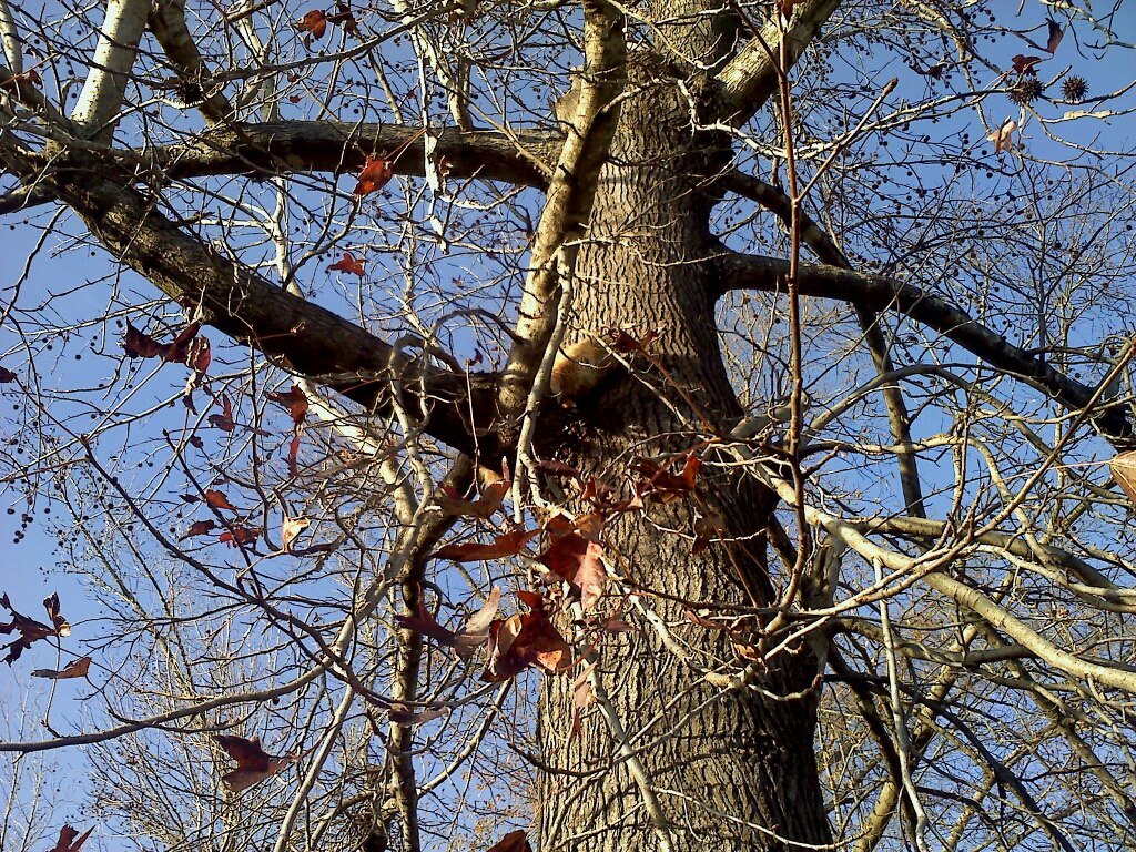 Mike Bergin's album, Mobile Uploads