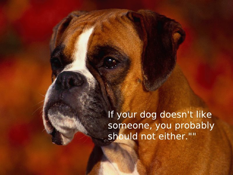 Pat Schaefer's album, Timeline Photos
