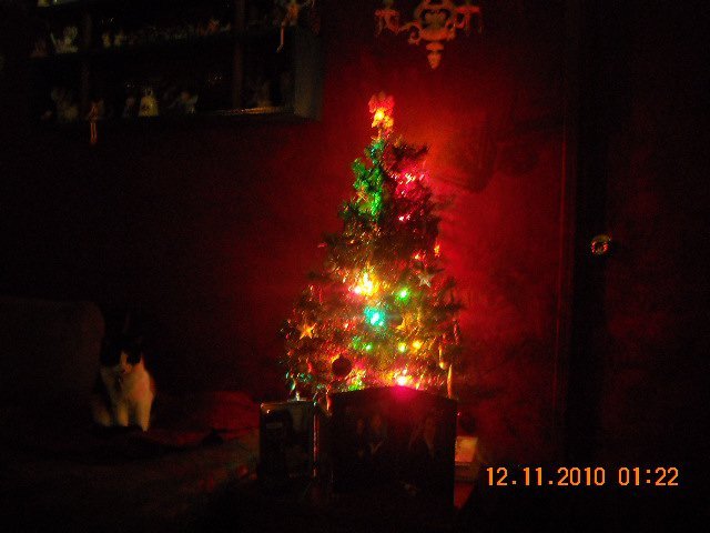 Kathy Tucker's album, Cover Photos