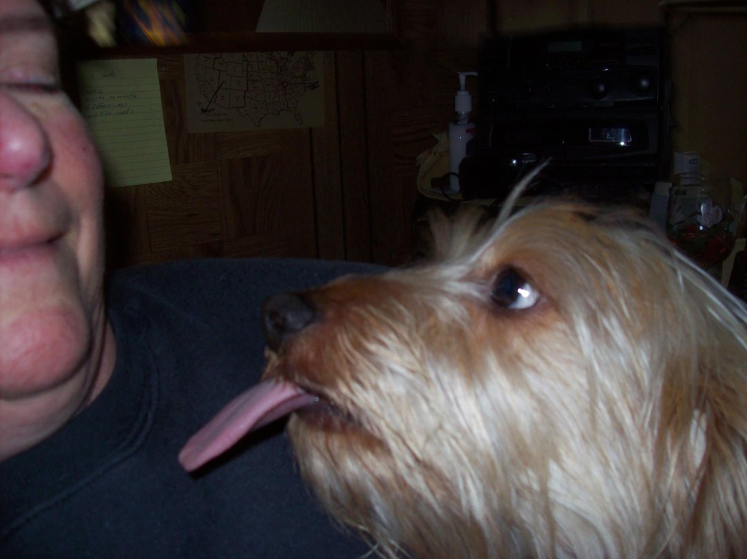 Beva Norton's album, Cover Photos