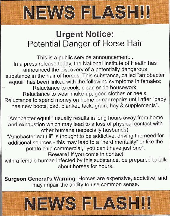 Margot Rathell's album, Mobile Uploads