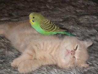 Renee' Coelho's album, Timeline Photos