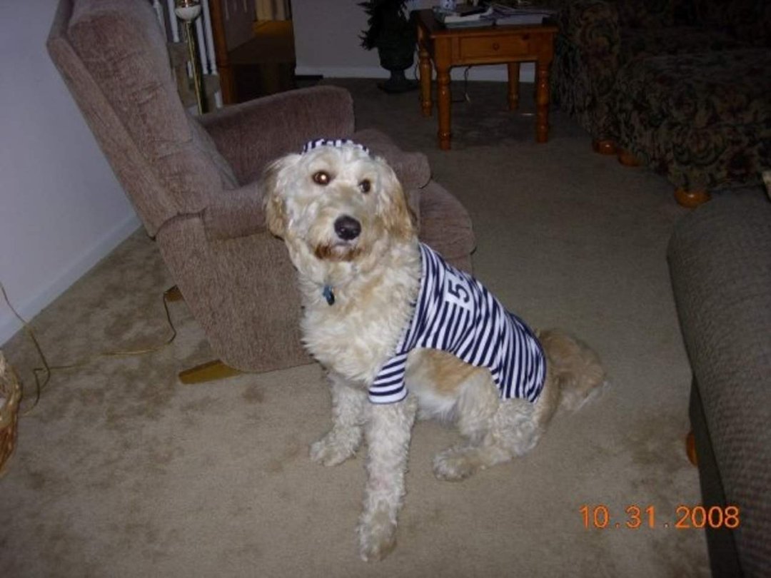 Ellen Ferrell's album, Winter 2008