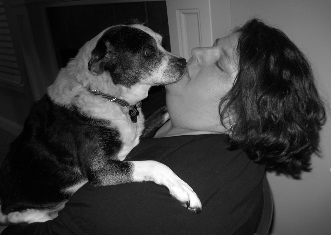 Teri Oster's album, Profile Pictures