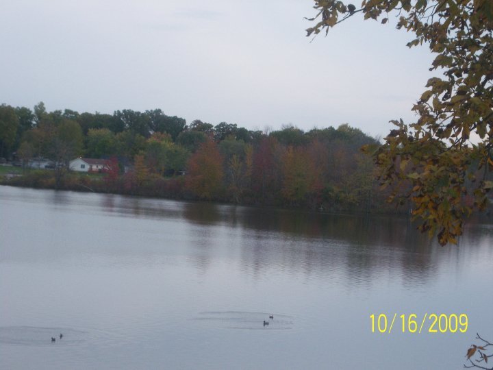 John Barwiler's album, My album