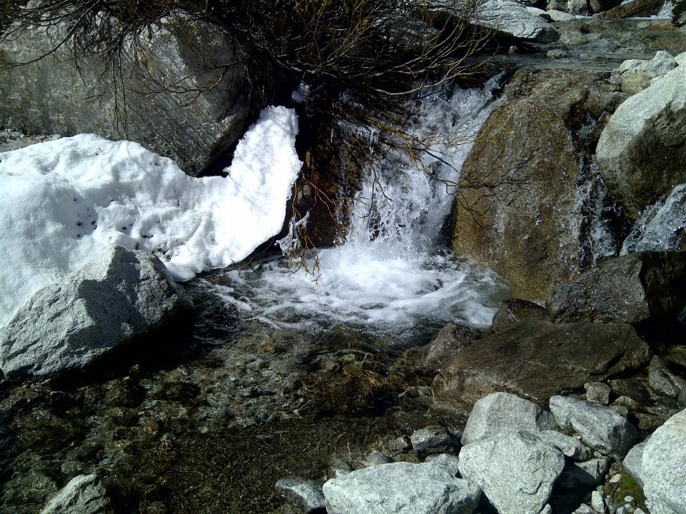 Daniel Burks' album, Mount Whitney
