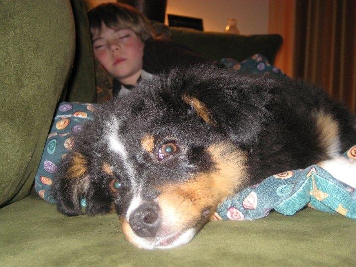 Kandy Foust-nunes' album, Christmas 2008