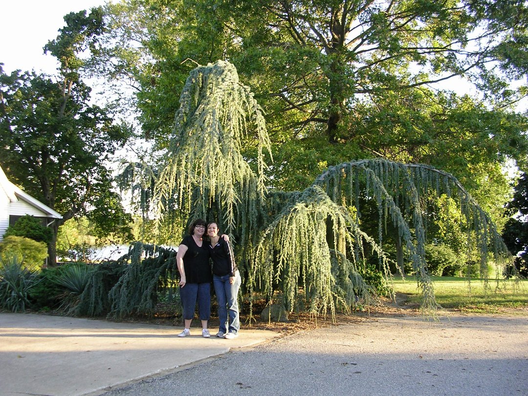 Susan Personette's album, Family