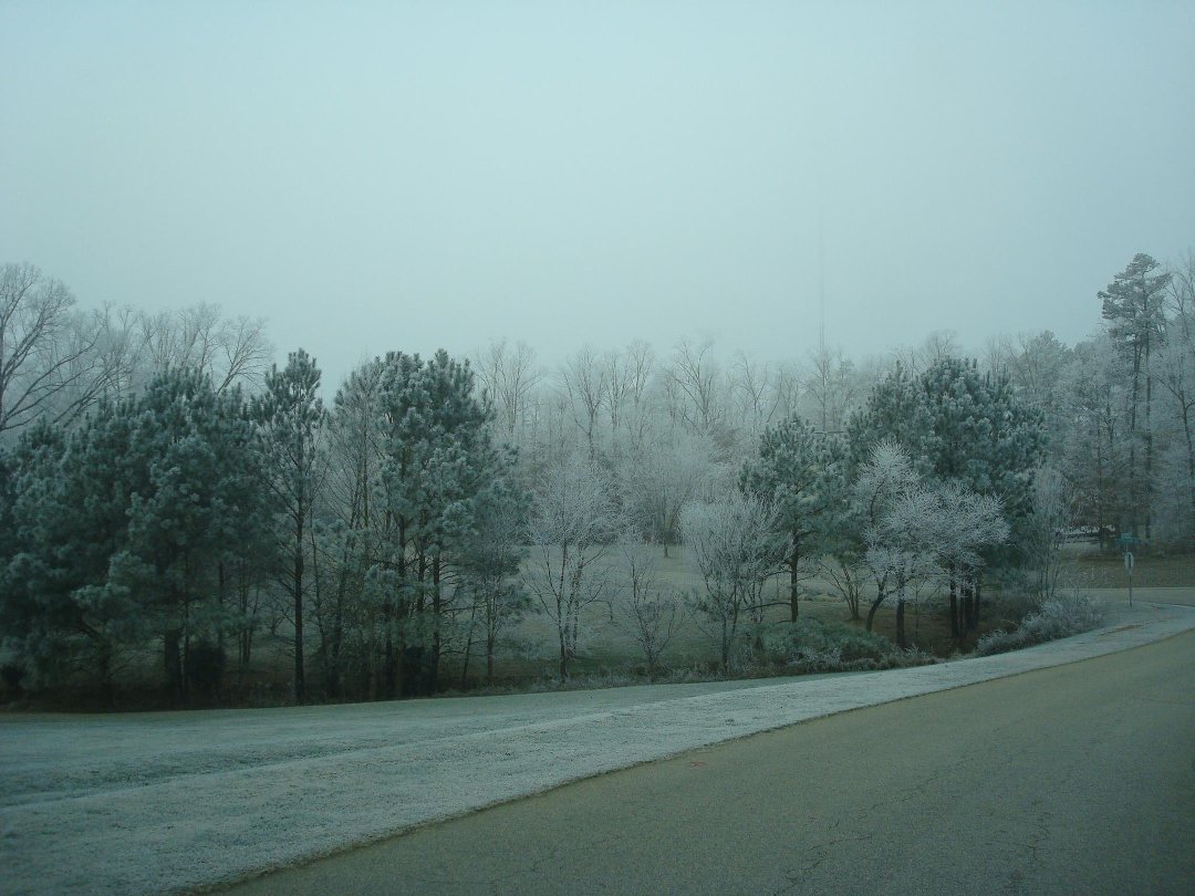 Mark Weber's album, Winter NC 2013