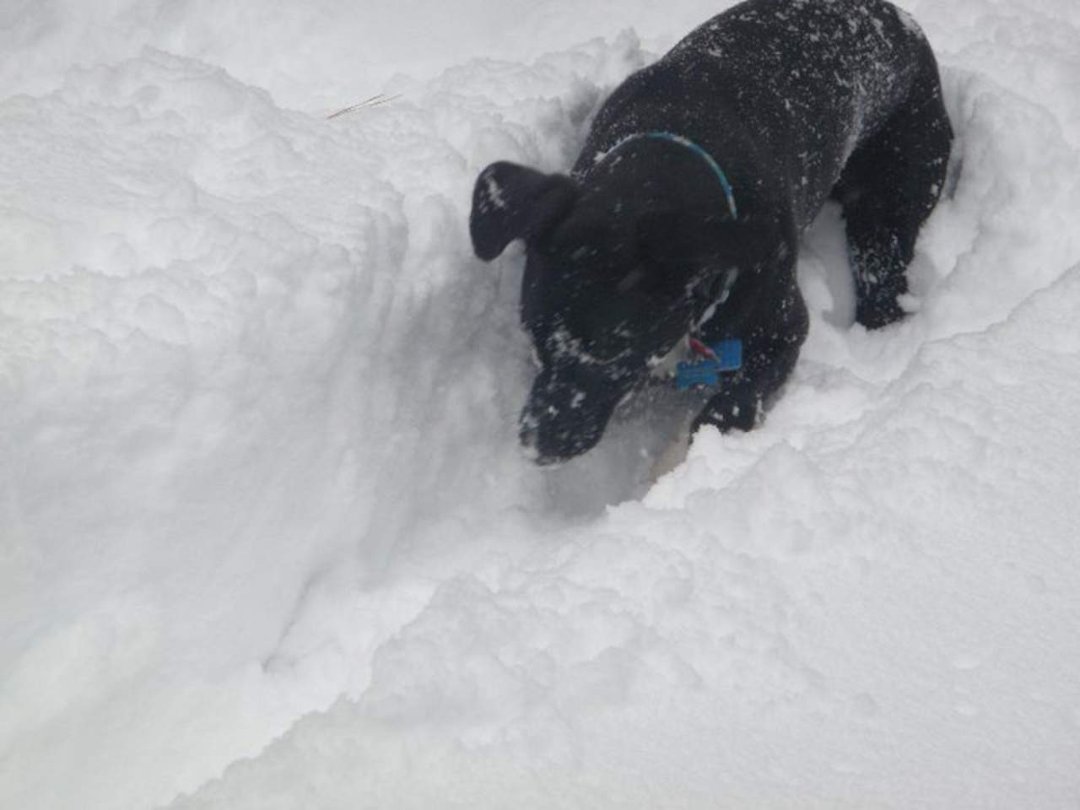 Lucas Heller's album, Lake Tahoe - November 2010 - SNOW OF EPIC PROPORTIONS!