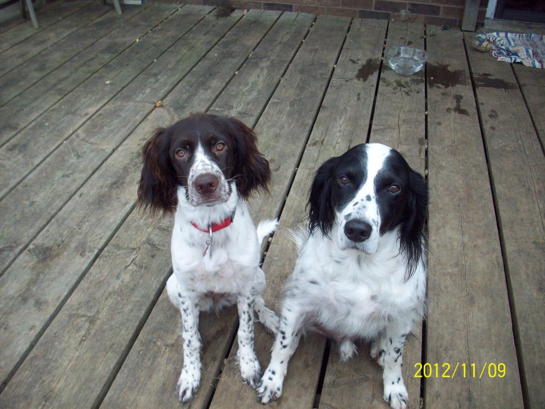 Brian Wilson's album, Timeline Photos