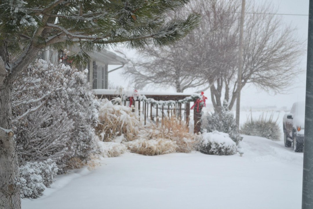 Chris Carroll's album, New Years Eve Snow 2012