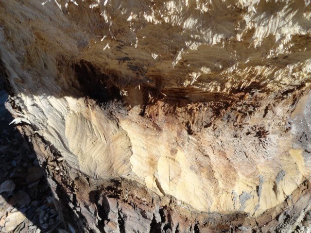 Lida Neil's album, Photos from Indian Cave Park 11/11