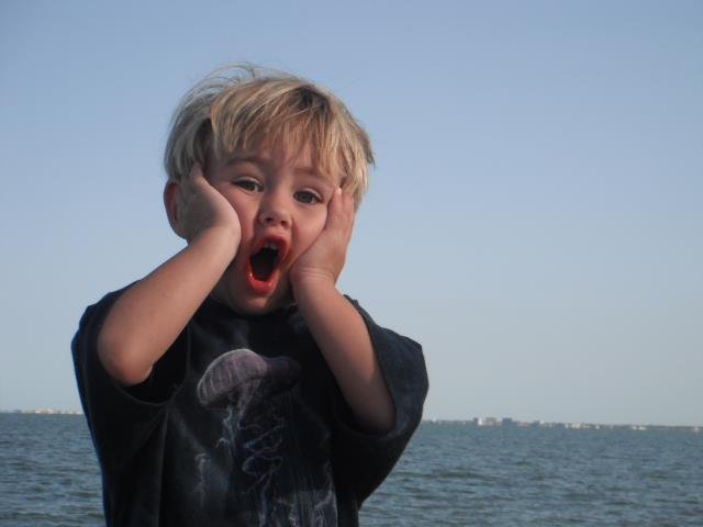 Doug Huff's album, Profile Pictures