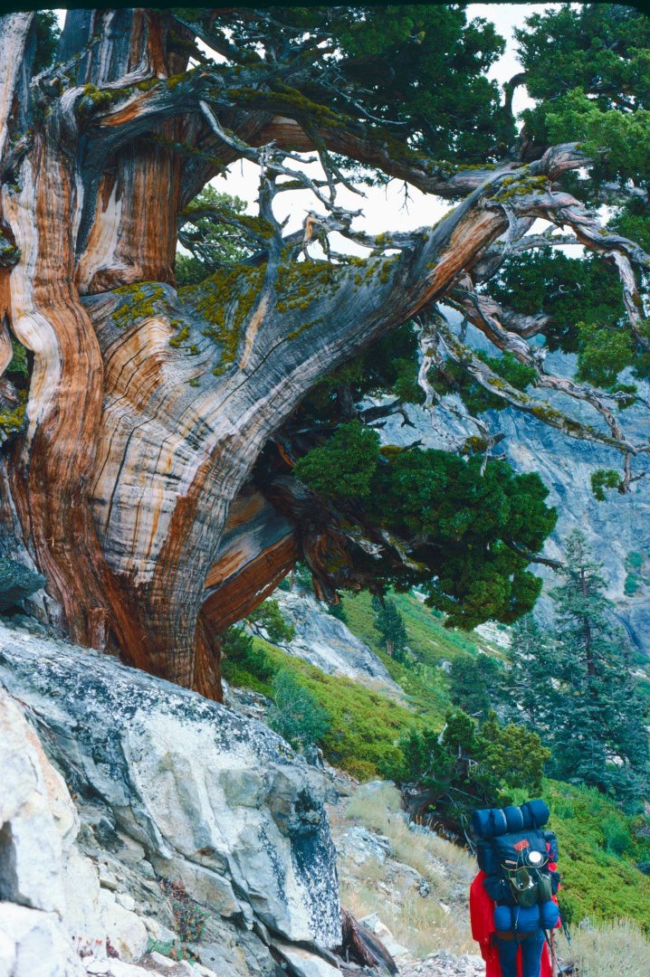 Daryl Strandlien's album, Backpacking