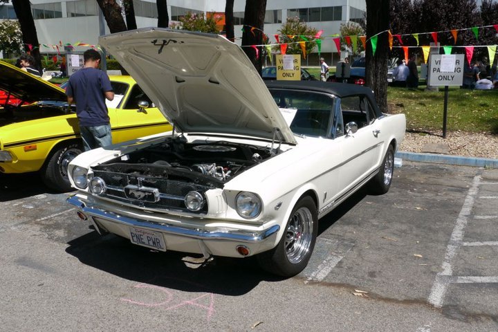 Peter Loretto's album, Car & Bike Show