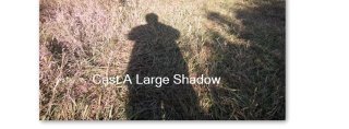 Joyce Edwards' album, Cover Photos