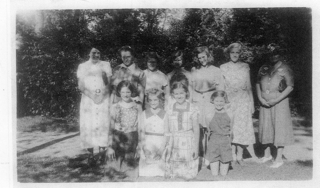 Sue Rowe's album, Profile Pictures