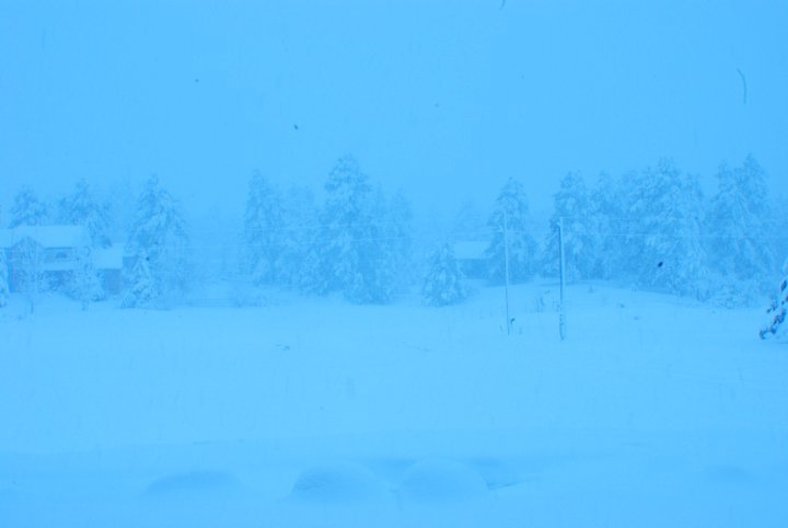 Robert Large's album, crazy weather