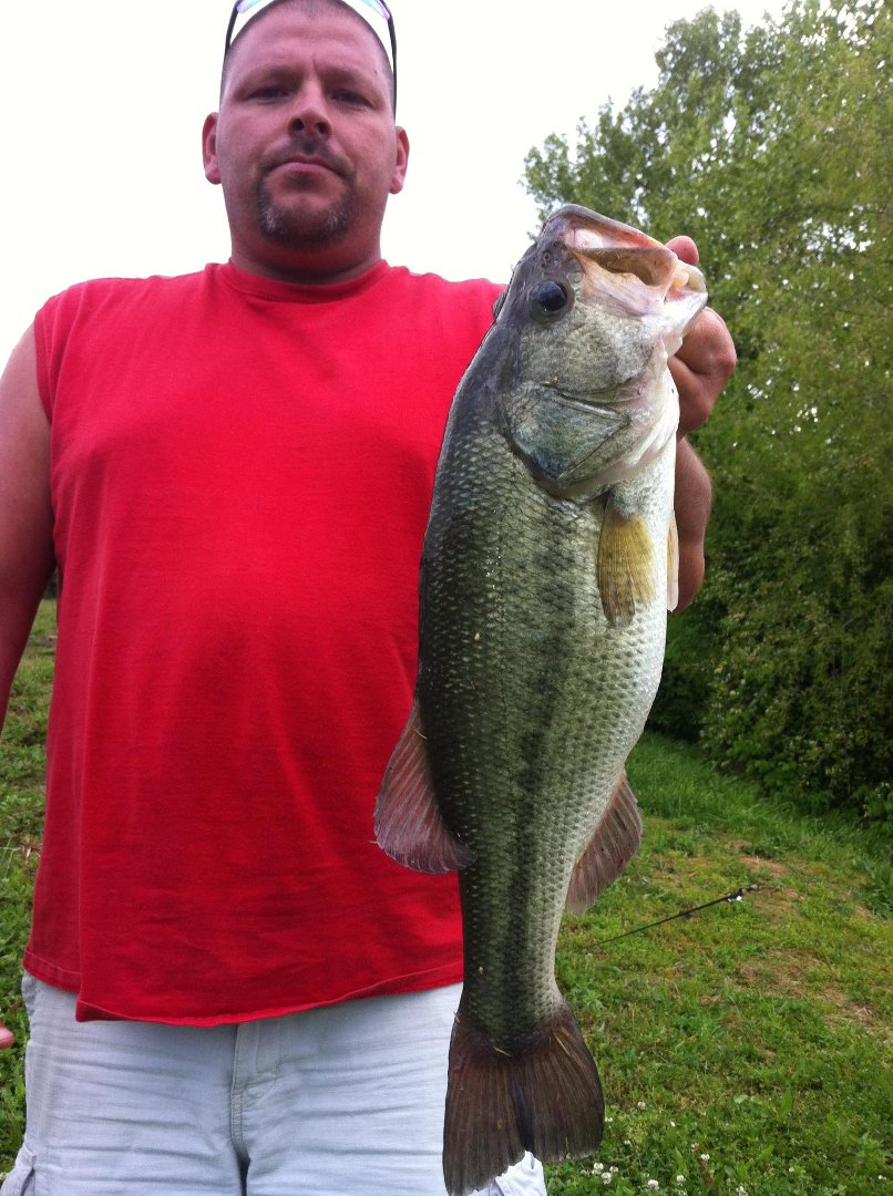 Mark McKinney's album, Fishing